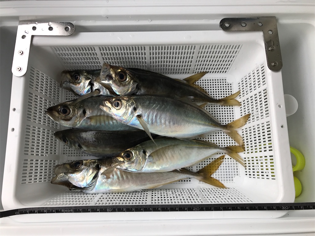 f:id:fishingandwine:20200614081234j:image