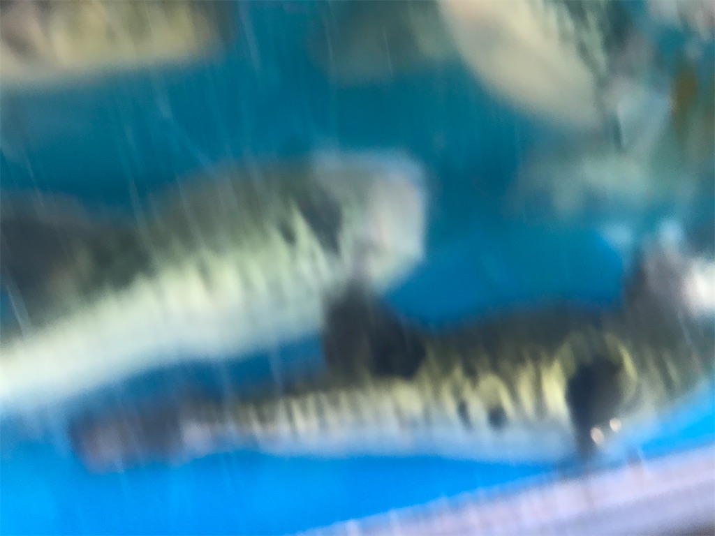f:id:fishingandwine:20200614081739j:image f:id:fishingandwine:20200614081739j:image