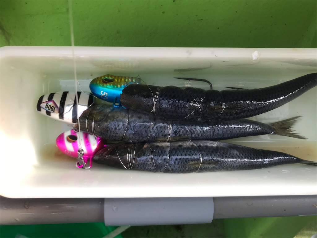 f:id:fishingandwine:20200919082124j:image f:id:fishingandwine:20200919082124j:image