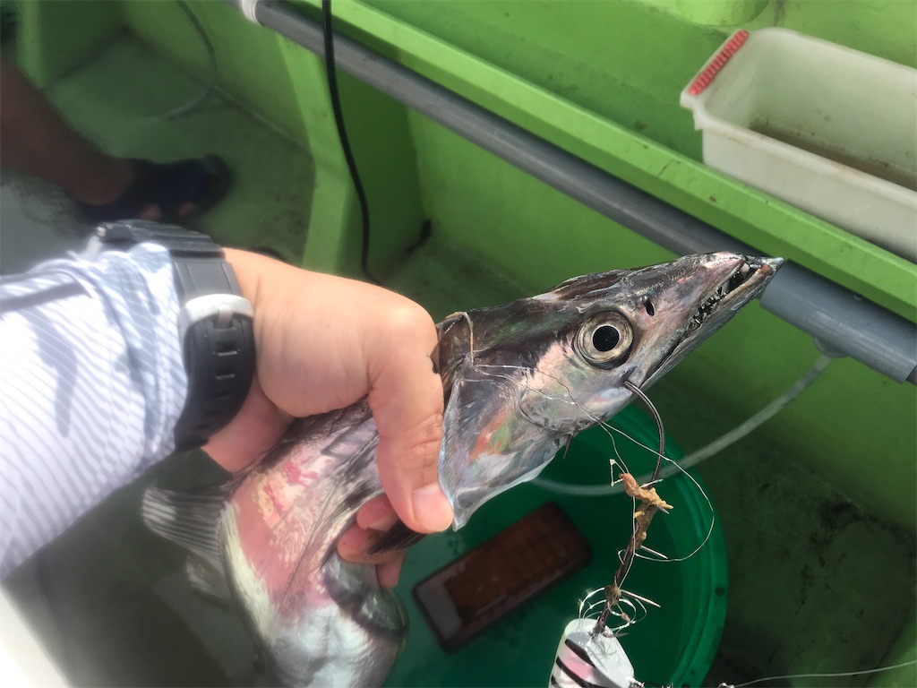 f:id:fishingandwine:20200919082152j:image f:id:fishingandwine:20200919082152j:image