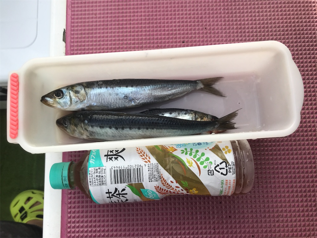 f:id:fishingandwine:20200919082206j:image f:id:fishingandwine:20200919082206j:image