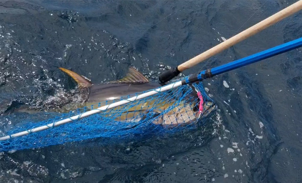 f:id:fishingandwine:20201003233610j:plain