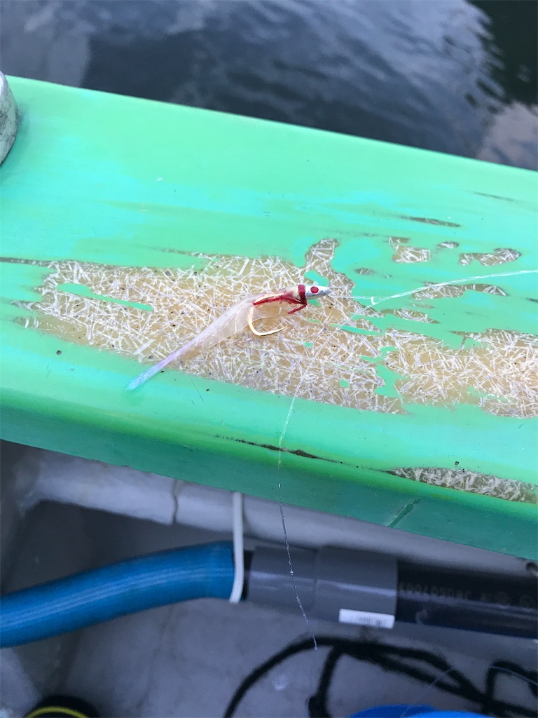 f:id:fishingandwine:20201025121401j:image