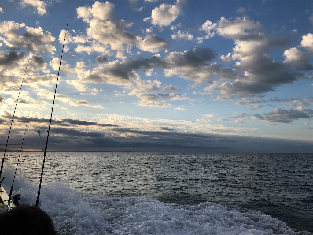 f:id:fishingandwine:20201025131345j:image