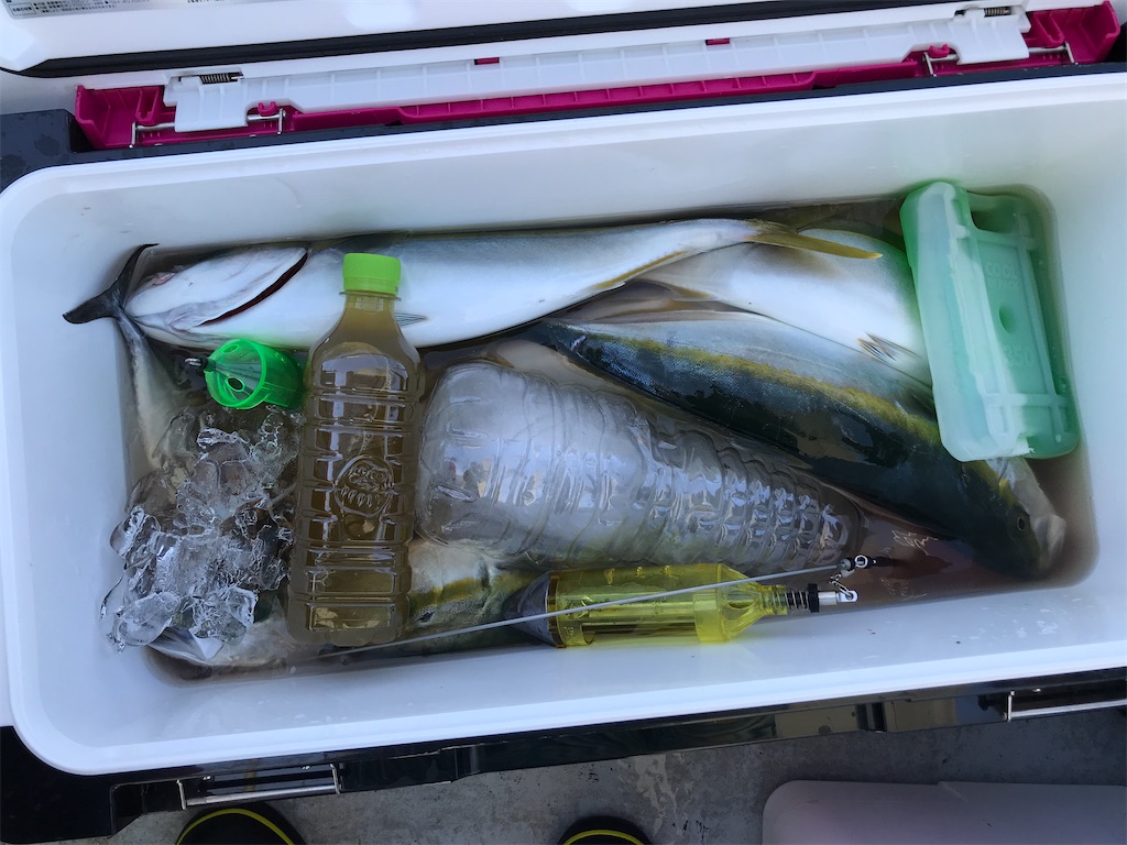 f:id:fishingandwine:20201027205732j:image
