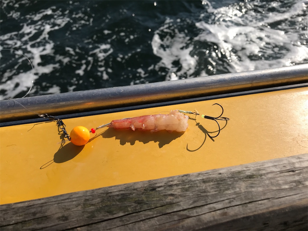 f:id:fishingandwine:20201230221444j:image
