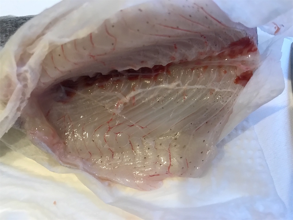 f:id:fishingandwine:20201230221555j:image