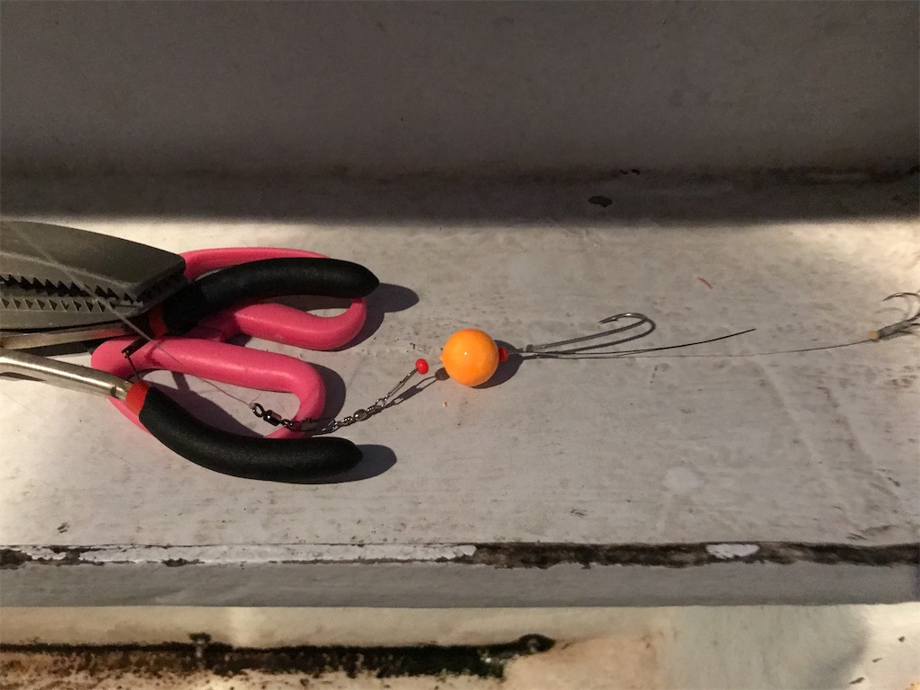 f:id:fishingandwine:20201230221848j:image