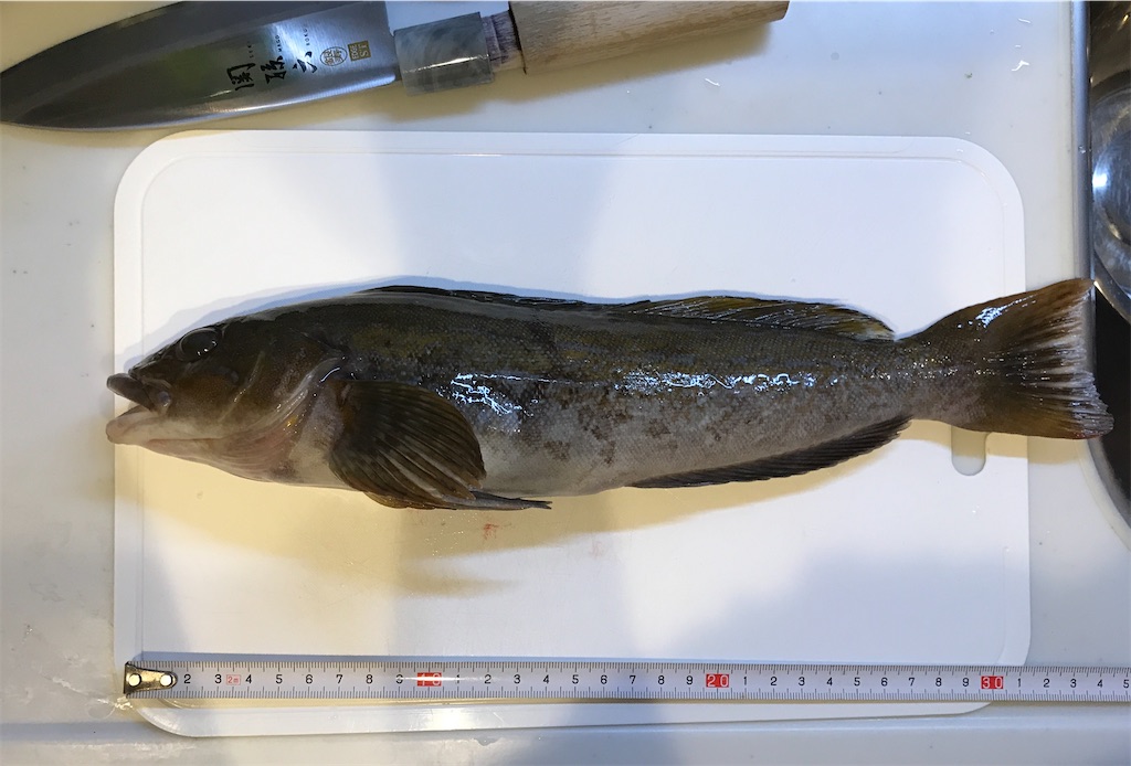 f:id:fishingandwine:20201230221926j:image