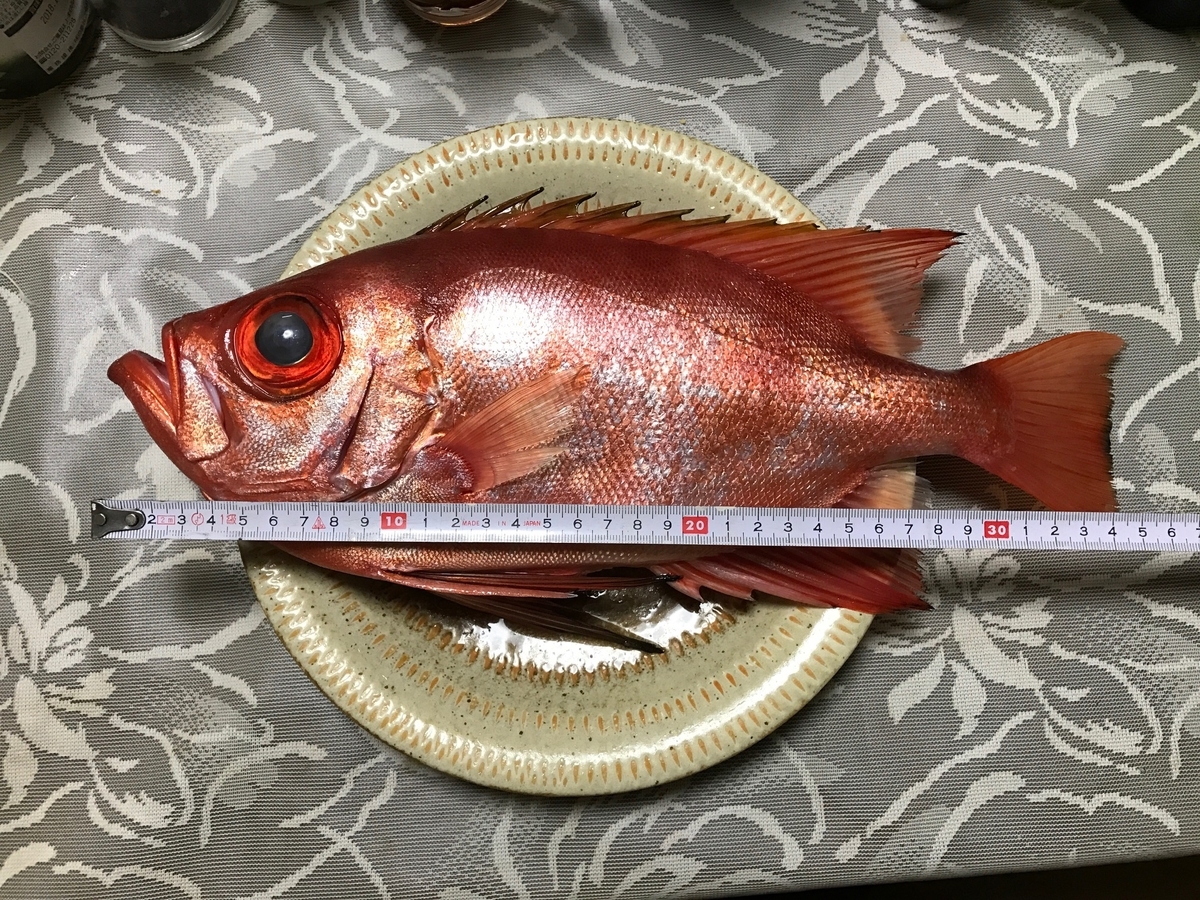 f:id:fishingandwine:20210505132525j:plain