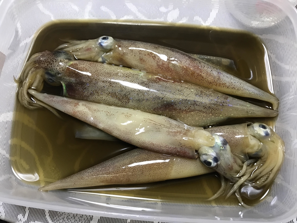 f:id:fishingandwine:20210505152001j:plain