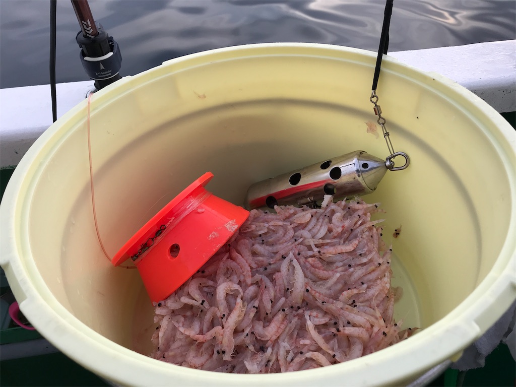 f:id:fishingandwine:20210508090723j:image