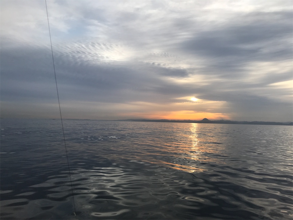 f:id:fishingandwine:20210508090802j:image