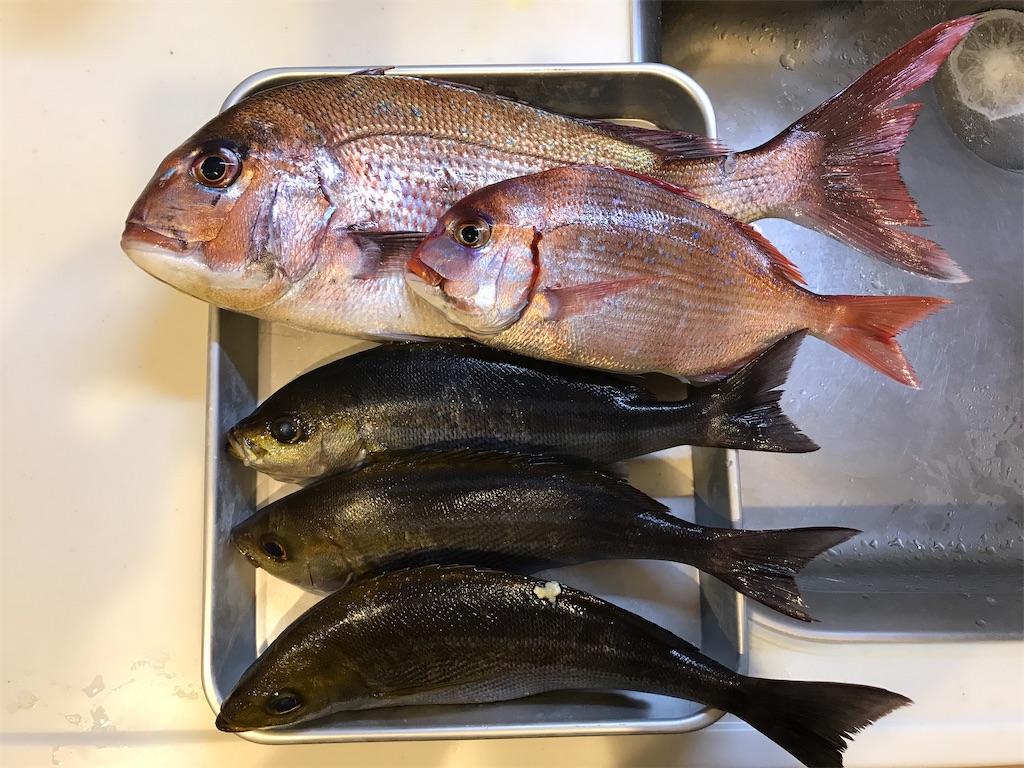 f:id:fishingandwine:20210508090818j:image