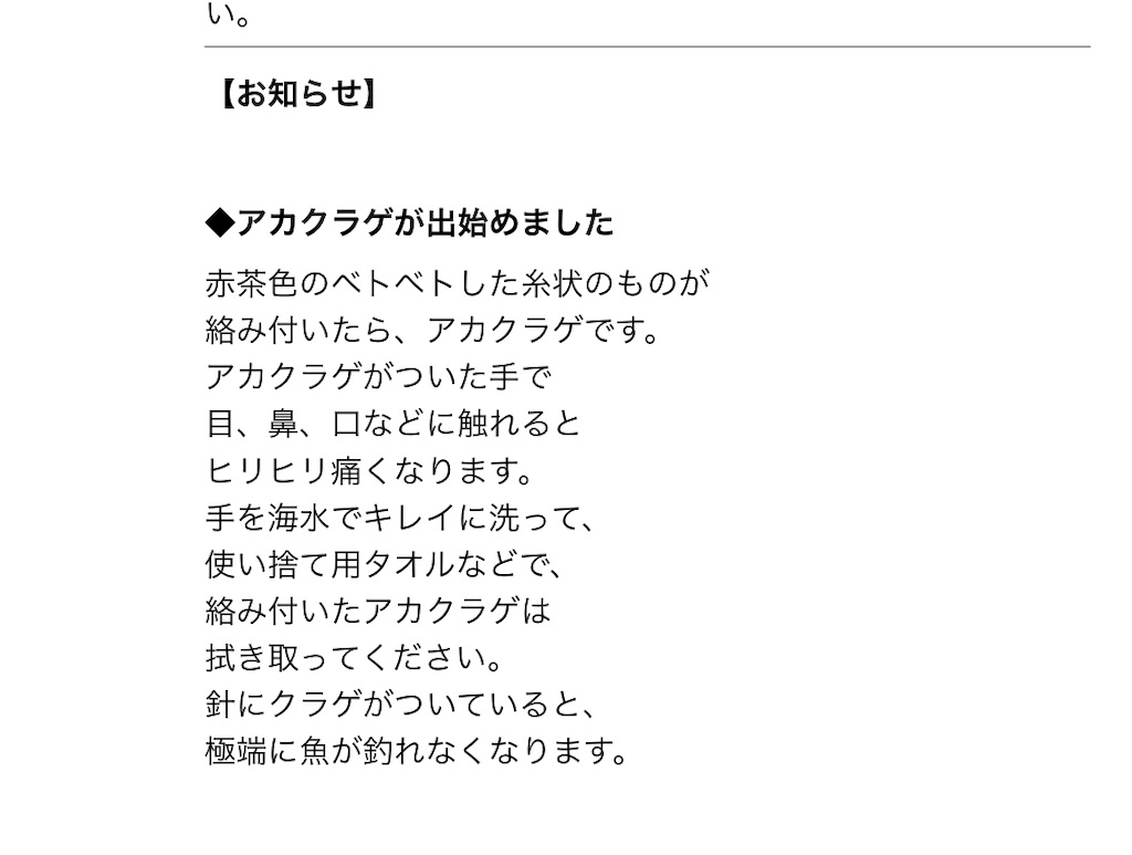 f:id:fishingandwine:20210516183348j:image