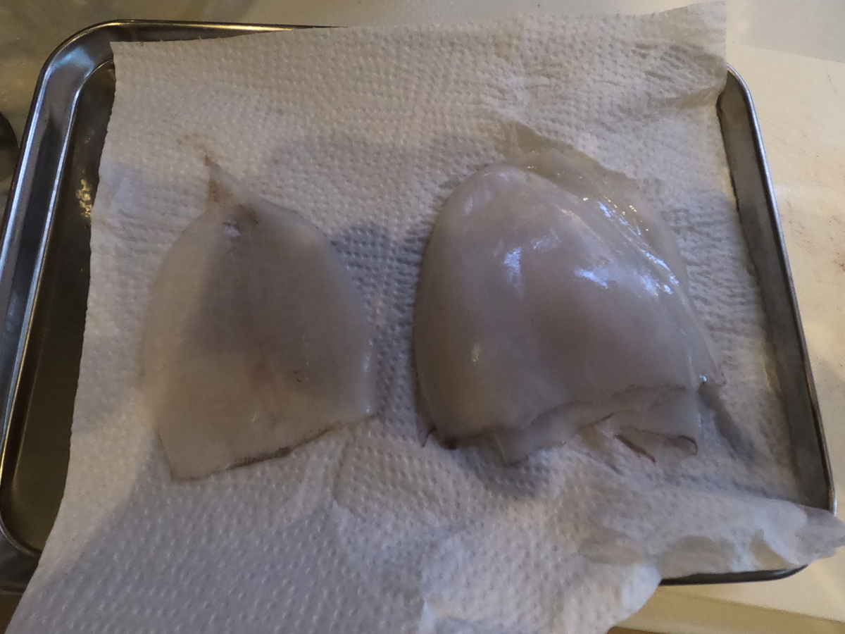 f:id:fishingandwine:20210606220842j:plain