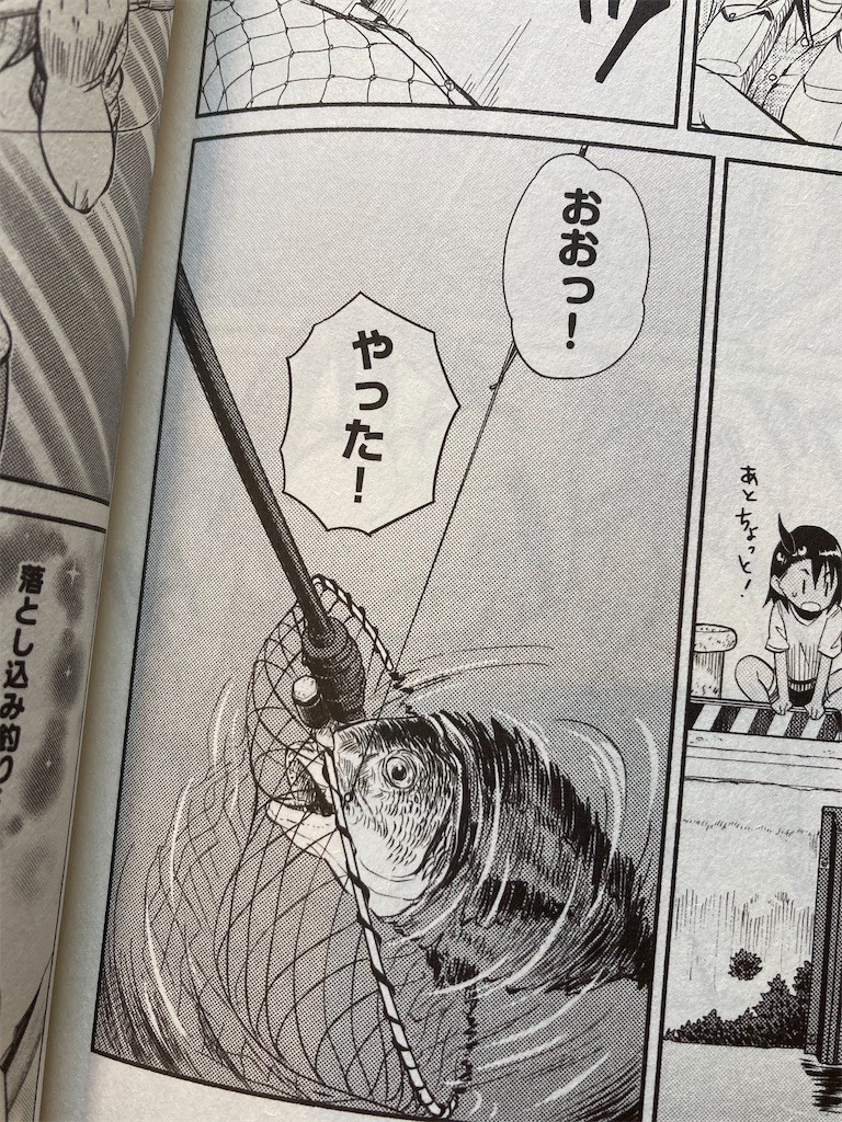 f:id:fishingandwine:20211120140104j:image