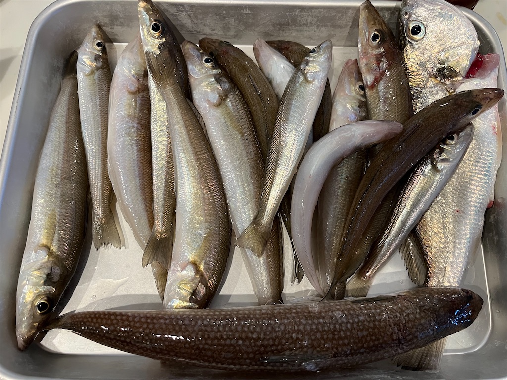 f:id:fishingandwine:20220821083641j:image f:id:fishingandwine:20220821083641j:image