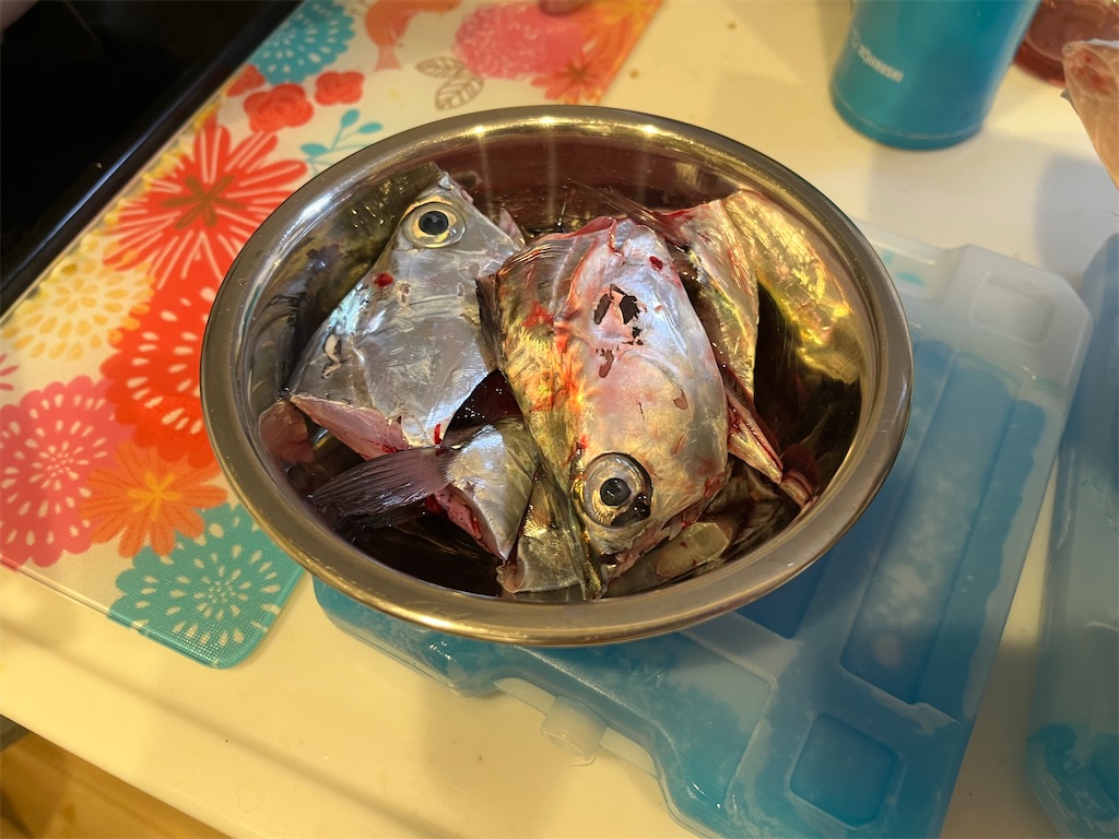 f:id:fishingandwine:20230206214247j:image