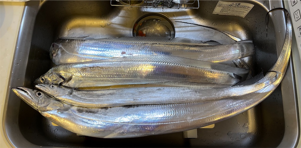 f:id:fishingandwine:20230206220833j:image