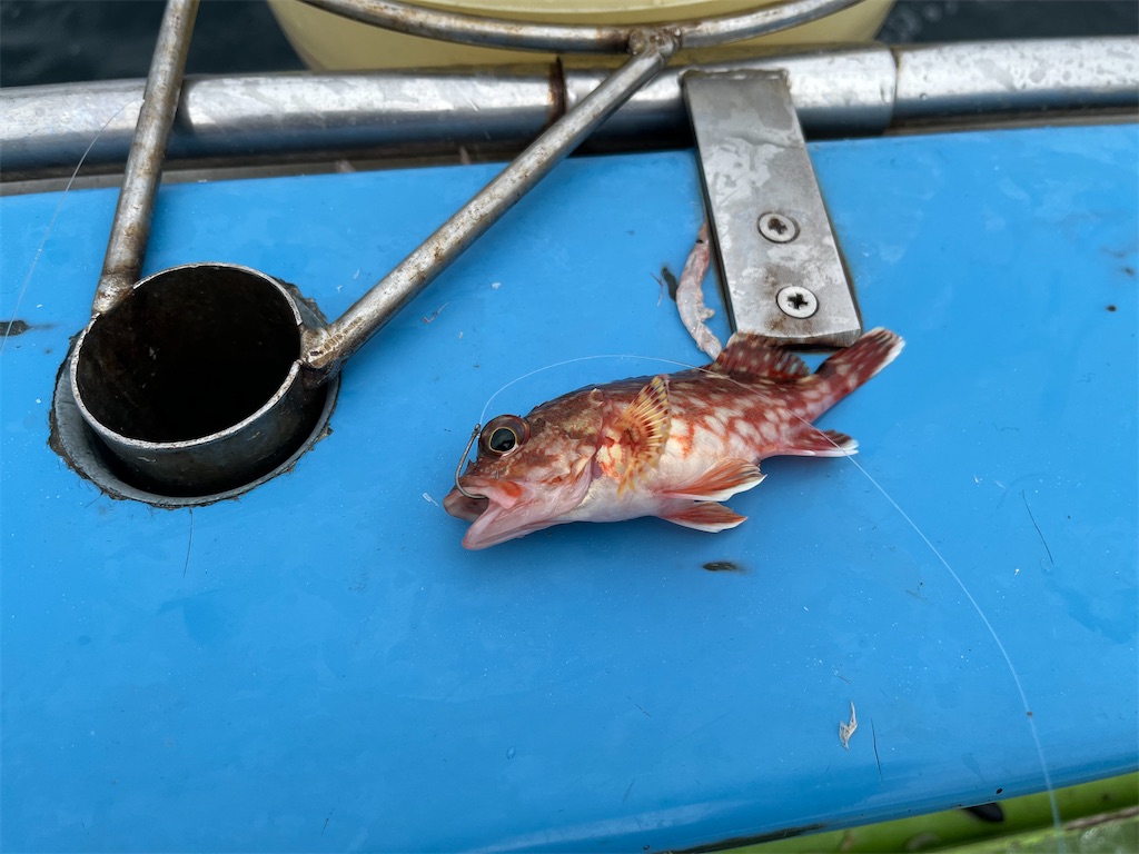 f:id:fishingandwine:20230429175002j:image