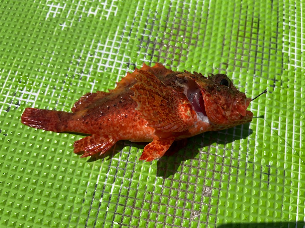 f:id:fishingandwine:20230429193303j:image