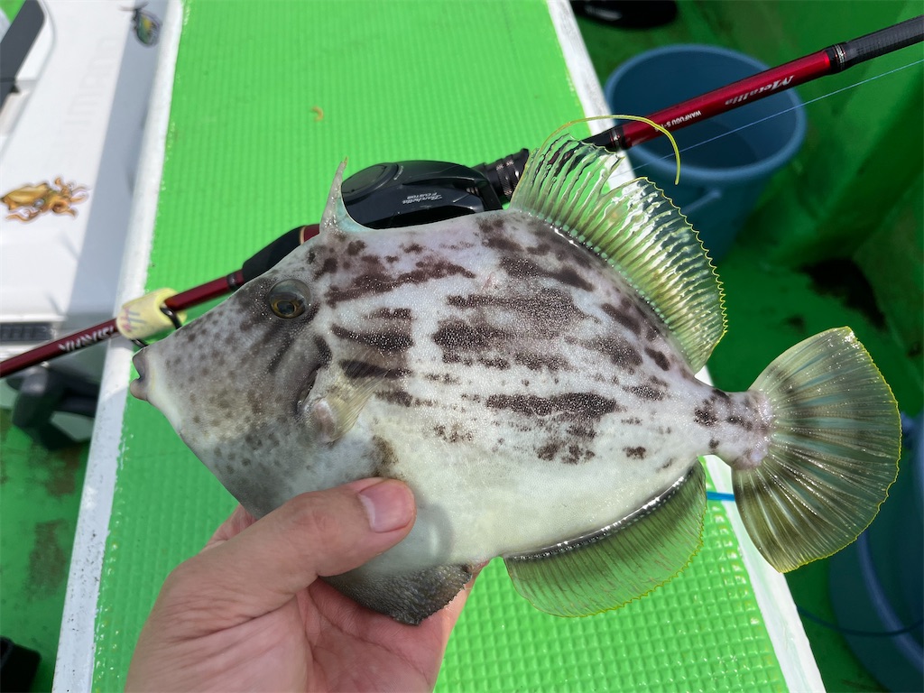 f:id:fishingandwine:20230625213643j:image f:id:fishingandwine:20230625213643j:image