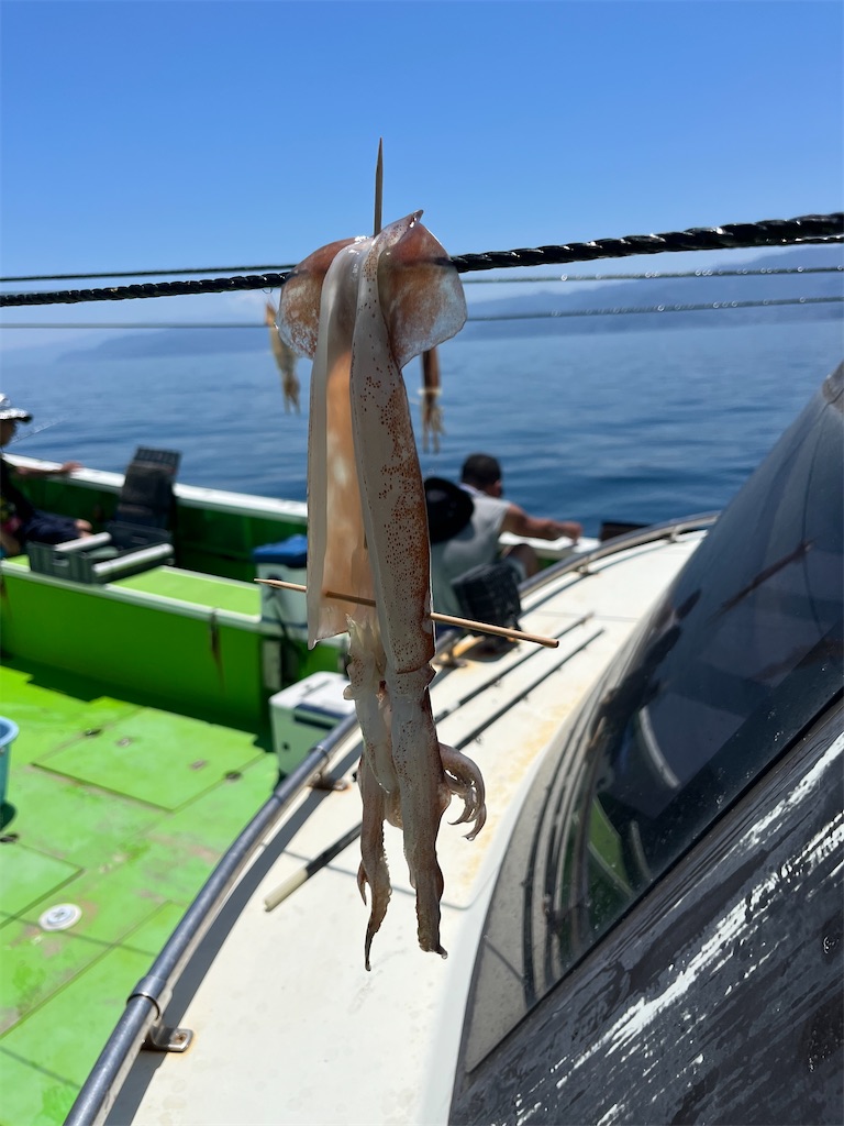 f:id:fishingandwine:20230718151239j:image