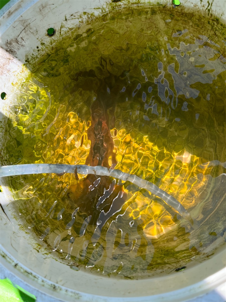 f:id:fishingandwine:20230718151254j:image