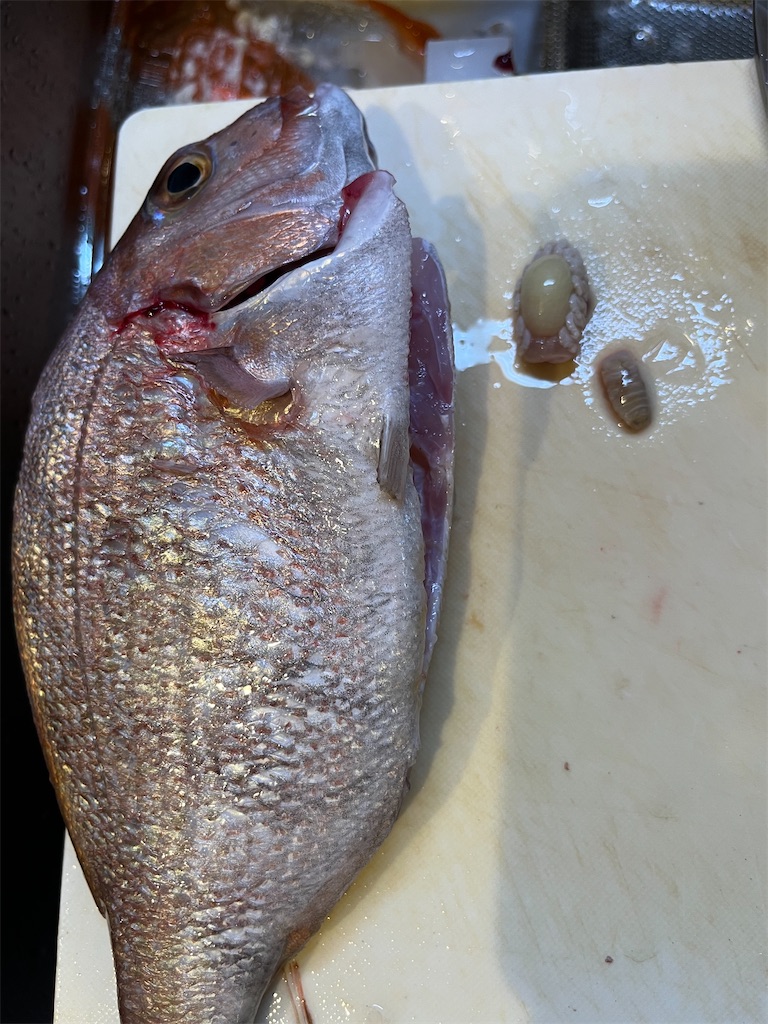 f:id:fishingandwine:20231003080005j:image