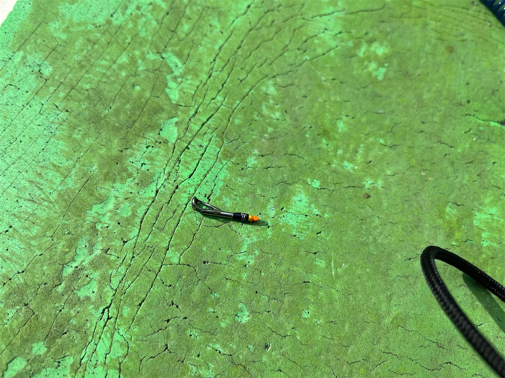 f:id:fishingandwine:20231003080015j:image