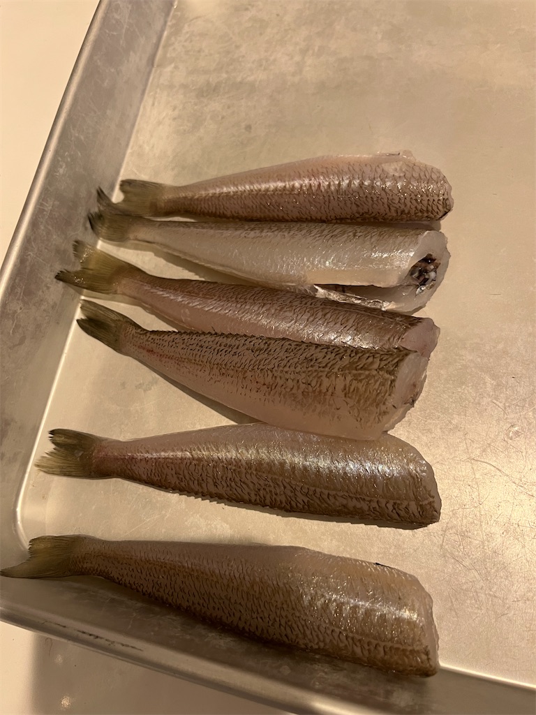 f:id:fishingandwine:20231003080022j:image