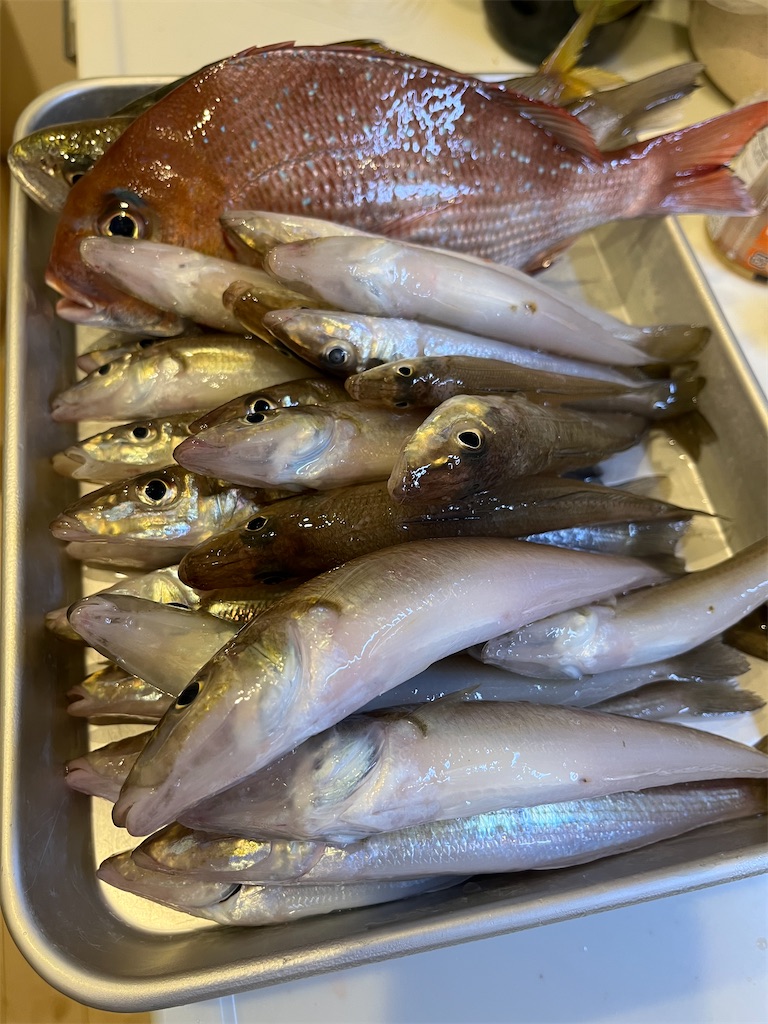 f:id:fishingandwine:20231003080032j:image