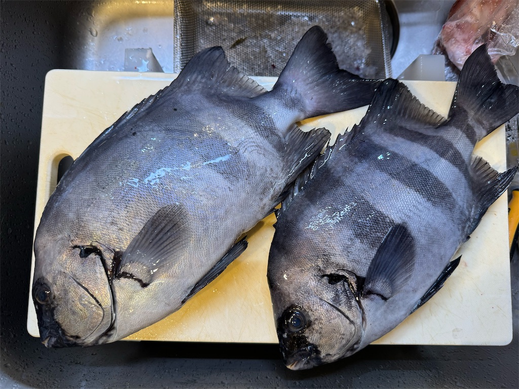 f:id:fishingandwine:20231126204902j:image