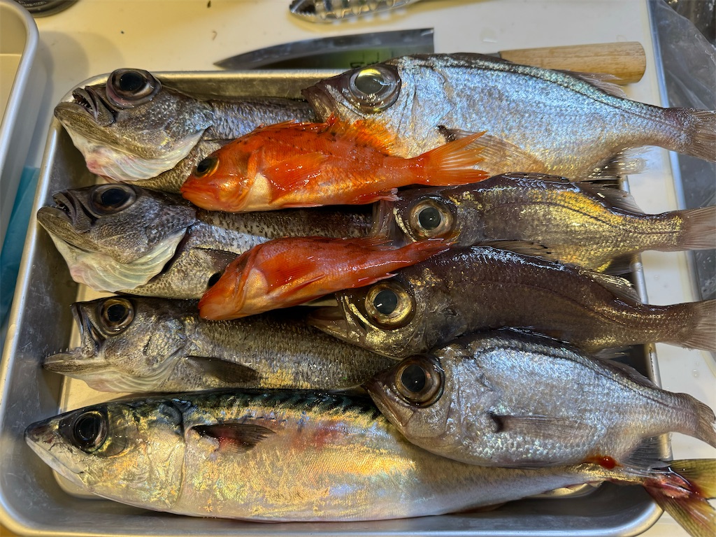 f:id:fishingandwine:20240212083135j:image f:id:fishingandwine:20240212083135j:image