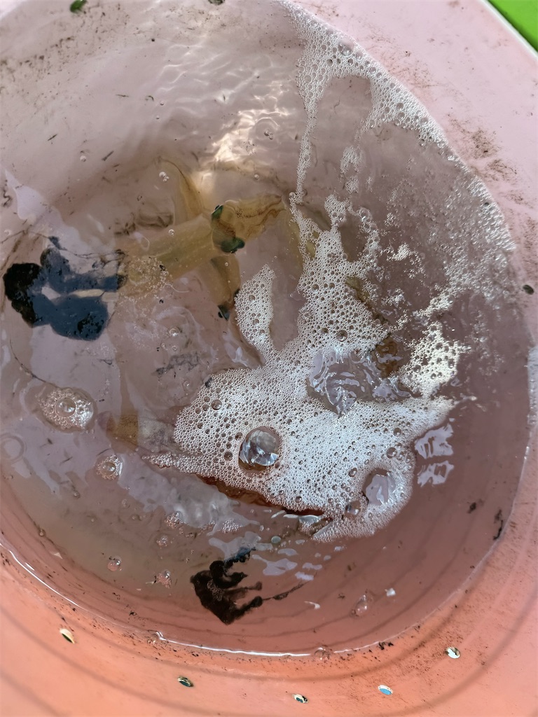 f:id:fishingandwine:20240224194650j:image