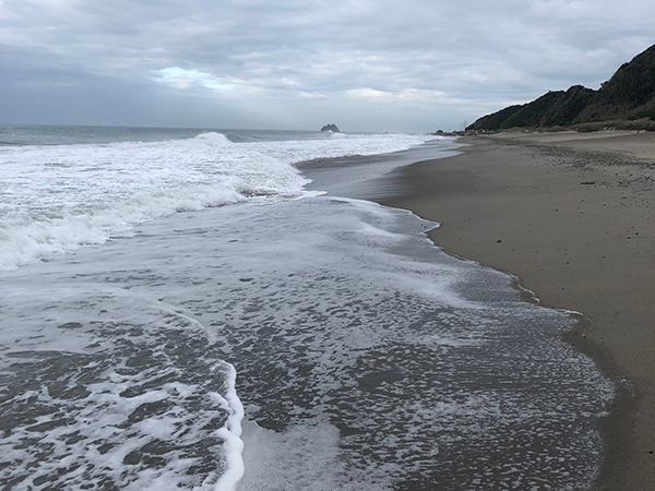 f:id:fishingnotes:20190917080018j:plain f:id:fishingnotes:20190917080018j:plain