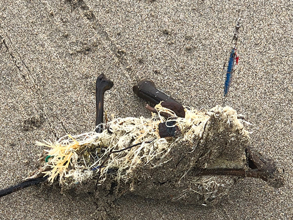 f:id:fishingnotes:20190917082959j:plain f:id:fishingnotes:20190917082959j:plain