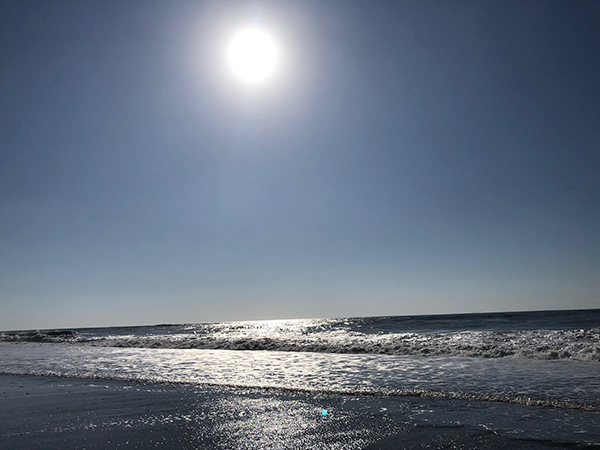 f:id:fishingnotes:20190917170332j:plain f:id:fishingnotes:20190917170332j:plain