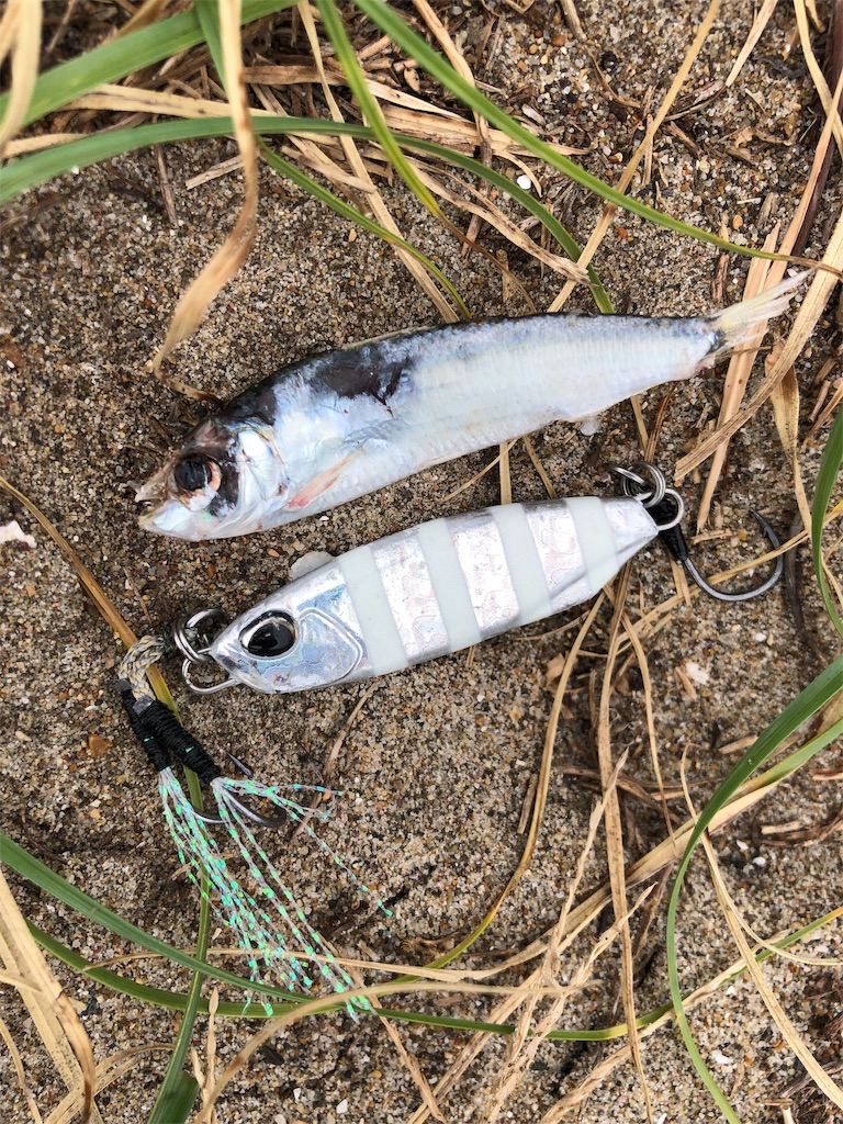 f:id:fishingnotes:20190926230740j:image f:id:fishingnotes:20190926230740j:image