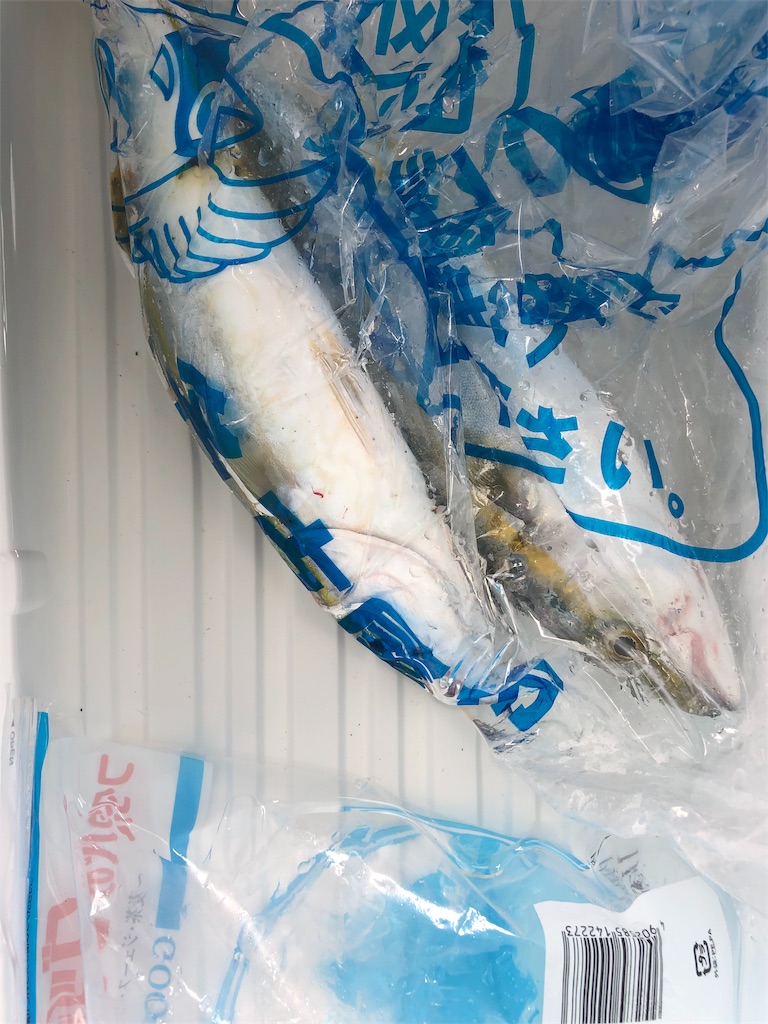 f:id:fishingnotes:20190927073447j:image f:id:fishingnotes:20190927073447j:image