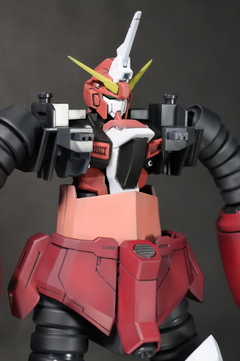 HG ズゴック(SEED FREEDOM Ver.)の製作-全塗装完成（最終段階