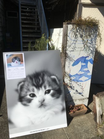 f:id:fishingwithjohn:20170125110148j:image