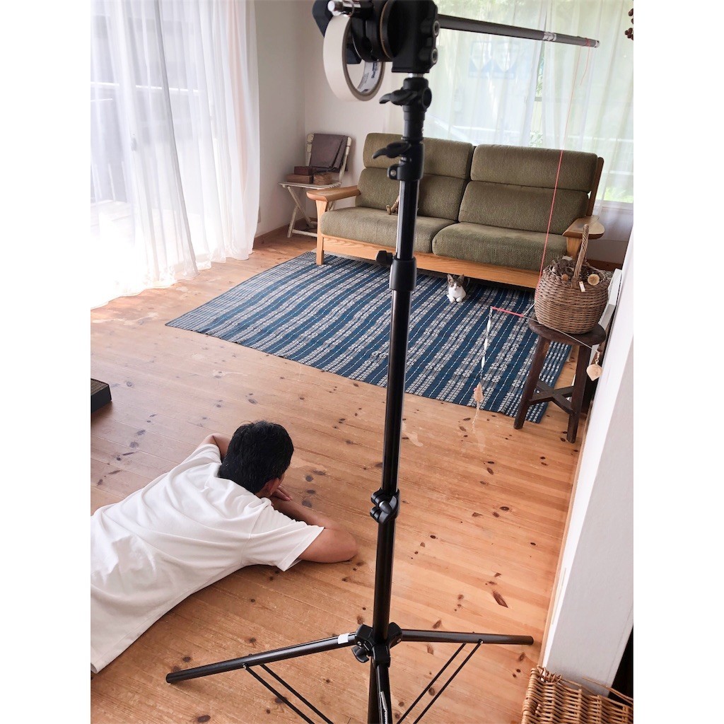 f:id:fishingwithjohn:20190818094855j:image