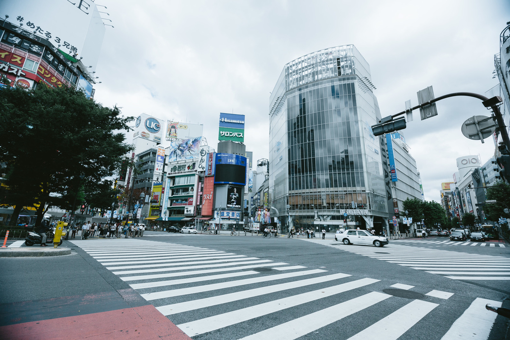 f:id:fishlive0620:20190106003216j:plain f:id:fishlive0620:20190106003216j:plain