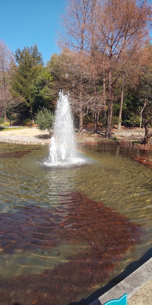 f:id:fishlive0620:20190302192658j:plain f:id:fishlive0620:20190302192658j:plain
