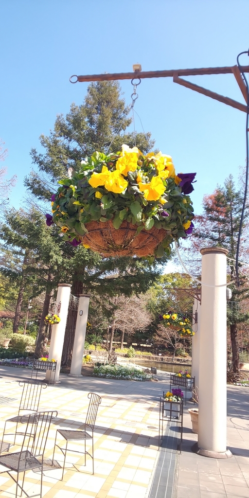 f:id:fishlive0620:20190302192716j:plain f:id:fishlive0620:20190302192716j:plain