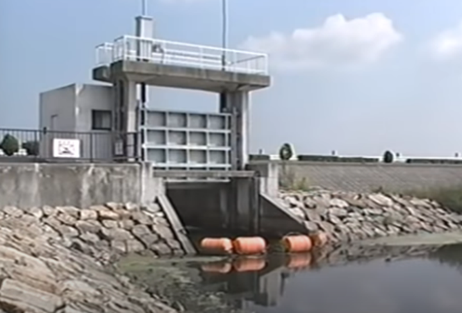 木浜5号水路 ポイント