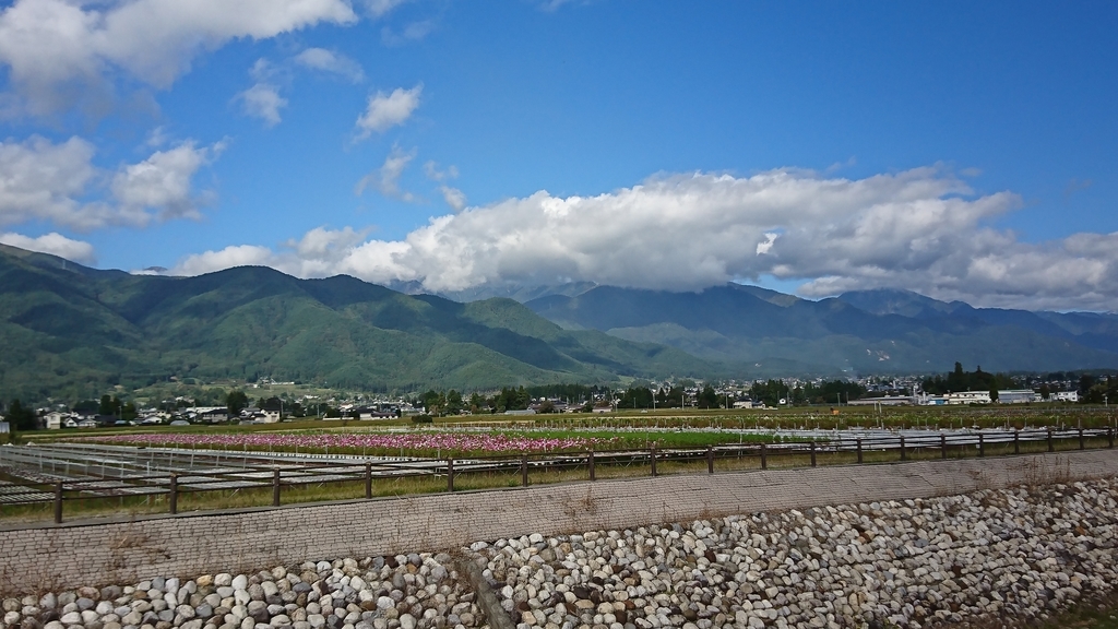 f:id:fishtail2017:20181021155825j:plain