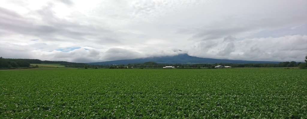 f:id:fishtail2017:20190211192403j:plain